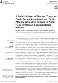 Cover page: A Select Subset of Electron Transport Chain Genes Associated with Optic Atrophy Link Mitochondria to Axon Regeneration in Caenorhabditis elegans