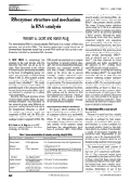 Cover page: Ribozymes: structure and mechanism in RNA catalysis.