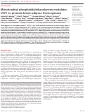 Cover page: Mitochondrial phosphatidylethanolamine modulates UCP1 to promote brown adipose thermogenesis