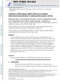 Cover page: Optineurin E50K triggers BDNF deficiency-mediated mitochondrial dysfunction in retinal photoreceptor cell line