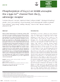 Cover page: Phosphorylation of Cav1.2 on S1928 uncouples the L‐type Ca2+ channel from the β2 adrenergic receptor