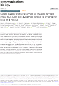 Cover page: Single nuclei transcriptomics of muscle reveals intra-muscular cell dynamics linked to dystrophin loss and rescue