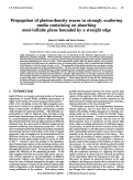 Cover page: Propagation of photon-density waves in strongly scattering media containing an absorbing semi-infinite plane bounded by a straight edge.