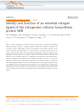 Cover page: Identity and function of an essential nitrogen ligand of the nitrogenase cofactor biosynthesis protein NifB