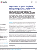 Cover page: Quantification of protein abundance and interaction defines a mechanism for operation of the circadian clock