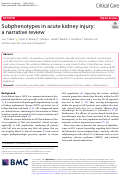 Cover page: Subphenotypes in acute kidney injury: a narrative review