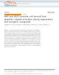 Cover page: Akt1 and dCIZ1 promote cell survival from apoptotic caspase activation during regeneration and oncogenic overgrowth.