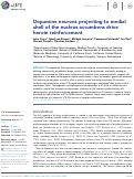 Cover page: Dopamine neurons projecting to medial shell of the nucleus accumbens drive heroin reinforcement