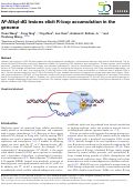 Cover page: N 2-Alkyl-dG lesions elicit R-loop accumulation in the genome.