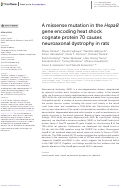 Cover page: A missense mutation in the Hspa8 gene encoding heat shock cognate protein 70 causes neuroaxonal dystrophy in rats.