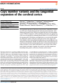 Cover page: Copy number variants and the tangential expansion of the cerebral cortex.