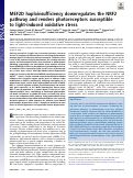 Cover page: MEF2D haploinsufficiency downregulates the NRF2 pathway and renders photoreceptors susceptible to light-induced oxidative stress