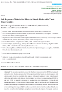 Cover page: Job Exposure Matrix for Electric Shock Risks with Their Uncertainties