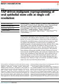 Cover page of YAP-driven malignant reprogramming of oral epithelial stem cells at single cell resolution