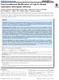 Cover page: Post-translational Modification of LipL32 during Leptospira interrogans Infection