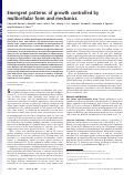 Cover page: Emergent patterns of growth controlled by multicellular form and mechanics