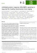 Cover page: Unfolded protein response IRE1/XBP1 signaling is required for healthy mammalian brain aging