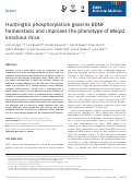 Cover page: Huntingtin phosphorylation governs BDNF homeostasis and improves the phenotype of Mecp2 knockout mice