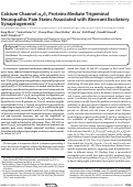 Cover page: Calcium channel α2δ1 proteins mediate trigeminal neuropathic pain states associated with aberrant excitatory synaptogenesis.