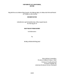 Cover page: Playful Places in Online Playgrounds: An Ethnography of a Minecraft Virtual World for Children with Autism