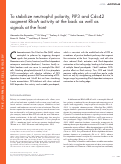 Cover page: To stabilize neutrophil polarity, PIP3 and Cdc42 augment RhoA activity at the back as well as signals at the front