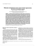 Cover page: Molecular mechanisms in the control of limb regeneration: the role of homeobox genes.