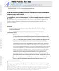 Cover page: Androgen and estrogen receptor expression in the developing human penis and clitoris.