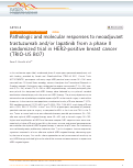 Cover page: Pathologic and molecular responses to neoadjuvant trastuzumab and/or lapatinib from a phase II randomized trial in HER2-positive breast cancer (TRIO-US B07)