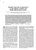 Cover page: Abundant expression of apoprotein E by macrophages in human and rabbit atherosclerotic lesions.