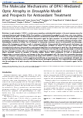 Cover page: The Molecular Mechanisms of OPA1-Mediated Optic Atrophy in <em>Drosophilia </em>Model and Prospects for Antioxidant Treatment