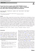 Cover page: Human heat shock cognate protein (HSC70/HSPA8) interacts with negatively charged phospholipids by a different mechanism than other HSP70s and brings HSP90 into membranes.