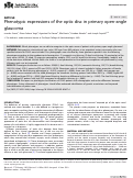 Cover page: Phenotypic expressions of the optic disc in primary open-angle glaucoma.