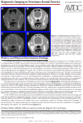 Cover page: Diagnostic Imaging in Veterinary Dental Practice.