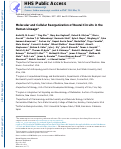 Cover page: Molecular and cellular reorganization of neural circuits in the human lineage