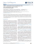 Cover page: FGFR3 is expressed by human primordial germ cells and is repressed after meiotic initiation to form primordial oocytes