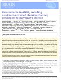 Cover page: Rare variants in ANO1, encoding a calcium-activated chloride channel, predispose to moyamoya disease.