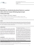 Cover page: Spontaneous choledochoduodenal fistula in a patient with a bile duct injury following laparoscopic cholecystectomy