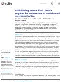 Cover page: RNA-binding protein Elavl1/HuR is required for maintenance of cranial neural crest specification