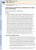 Cover page: Febrile Seizures and Mechanisms of Epileptogenesis: Insights from an Animal Model