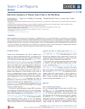 Cover page: Electrical Guidance of Human Stem Cells in the Rat Brain