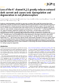 Cover page: Loss of the K+ channel Kv2.1 greatly reduces outward dark current and causes ionic dysregulation and degeneration in rod photoreceptors