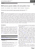 Cover page: BRUCE preserves genomic stability in the male germline of mice
