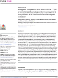 Cover page: Intragenic suppressor mutations of the COQ8 protein kinase homolog restore coenzyme Q biosynthesis and function in Saccharomyces cerevisiae