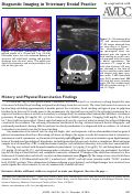 Cover page: Diagnostic Imaging in Veterinary Dental Practice.