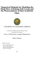 Cover page: Numerical Methods for Modeling the Fluid Flow of Pulsing Soft Corals and the Photosynthesis of their Symbiotic Algae