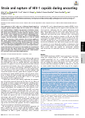 Cover page: Strain and rupture of HIV-1 capsids during uncoating