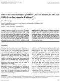 Cover page: What is base excision repair good for? knockout mutants for FPG and OGG glycosylase genes in Arabidopsis