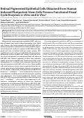 Cover page: Retinal pigmented epithelial cells obtained from human induced pluripotent stem cells possess functional visual cycle enzymes in vitro and in vivo.