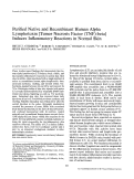 Cover page: Purified native and recombinant human alpha lymphotoxin [tumor necrosis factor (TNF)-beta] induces inflammatory reactions in normal skin