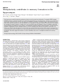 Cover page: Metaplasticity contributes to memory formation in the hippocampus